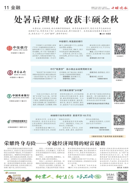 A11版导读