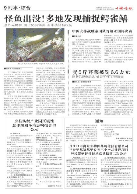 A09版导读
