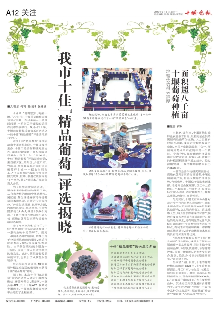 A12版导读