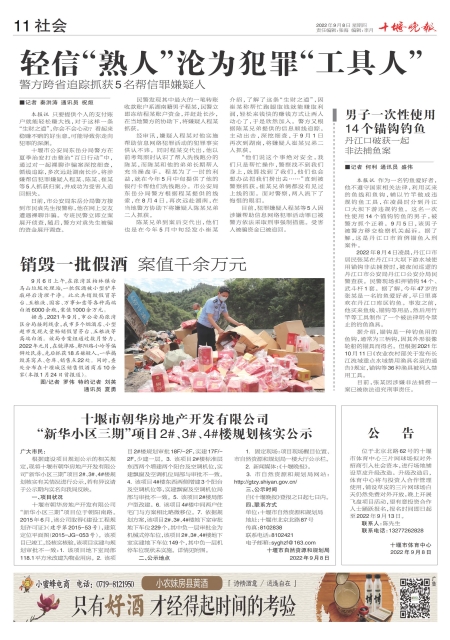 A11版导读