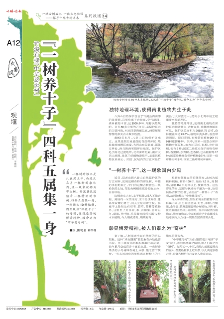 A12版导读