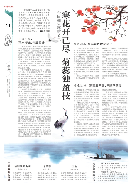 A11版导读