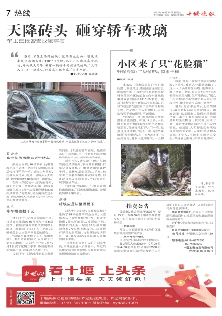 A07版导读
