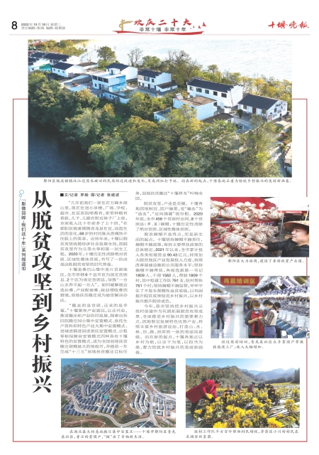 A08版导读