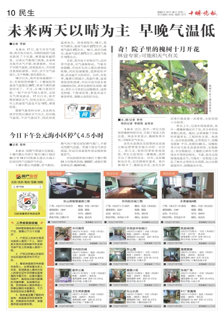 A10版导读