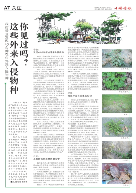 A07版导读