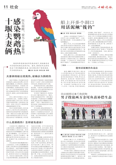 A11版导读