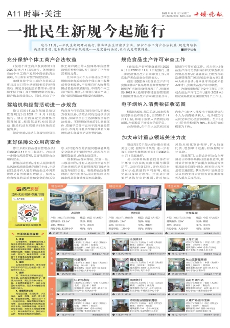 A11版导读