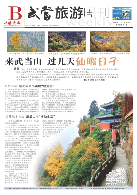 B01版导读