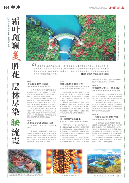 B04版导读