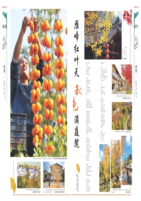 A10版导读