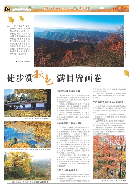 B04版导读