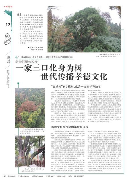 A12版导读