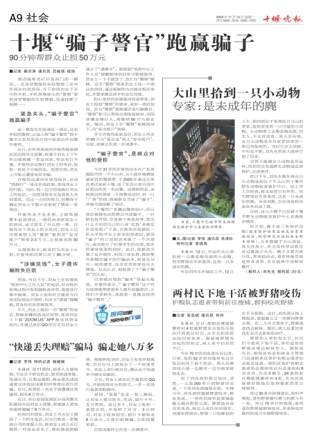 A09版导读