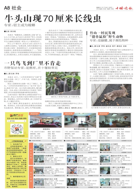 A08版导读