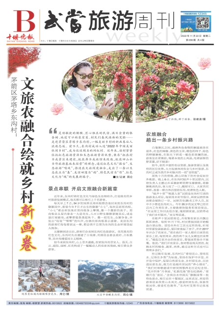 B01版导读