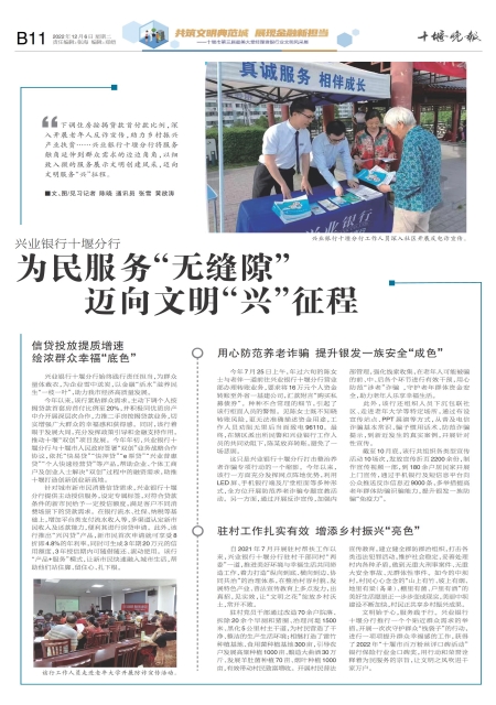 B11版导读