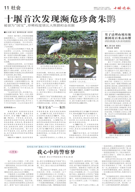 A11版导读