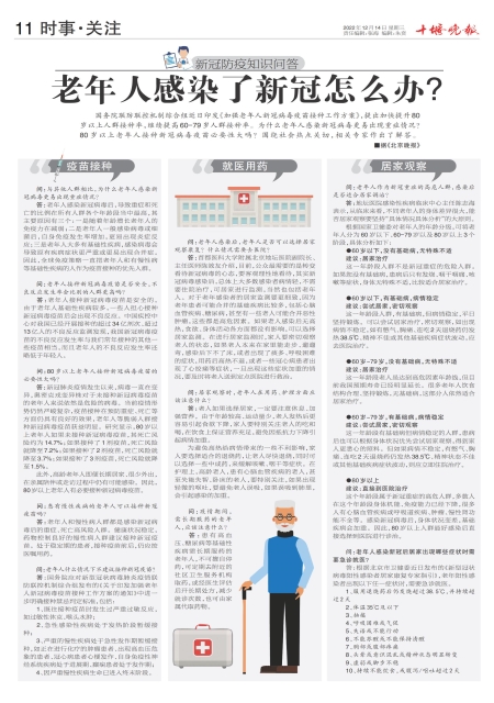 A11版导读