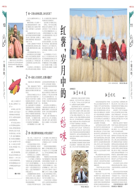 A10版导读