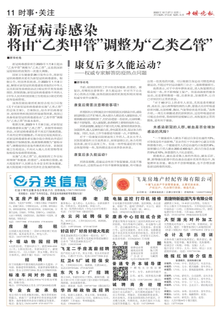 A11版导读