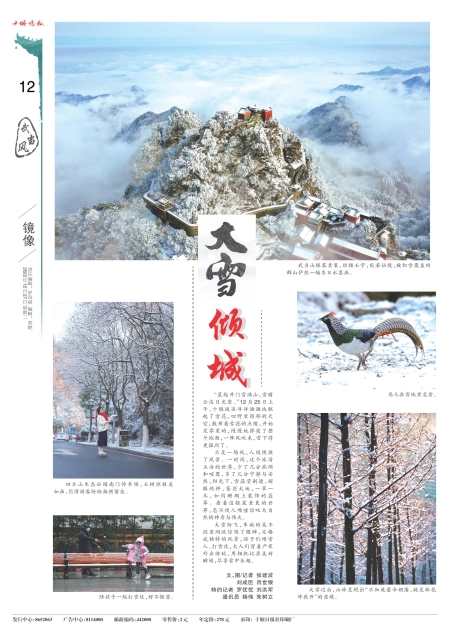 A12版导读