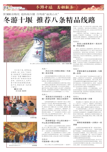 B04版导读