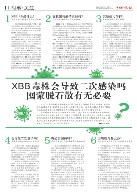 A11版导读