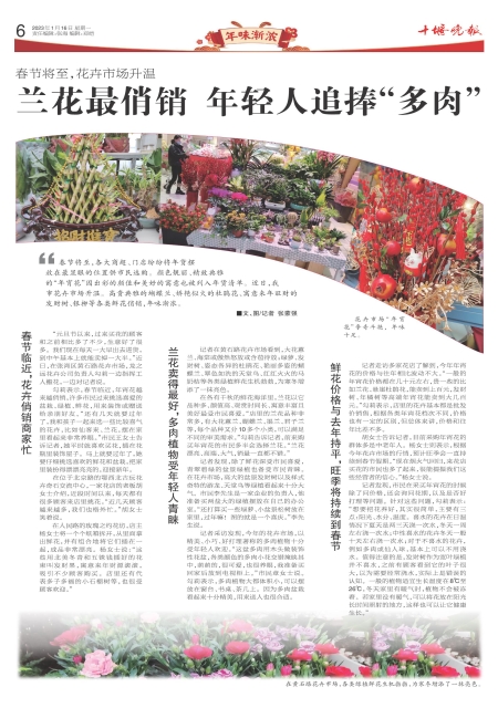 A06版导读