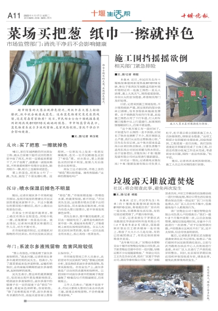 A11版导读
