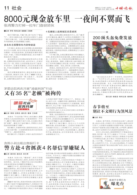 A11版导读