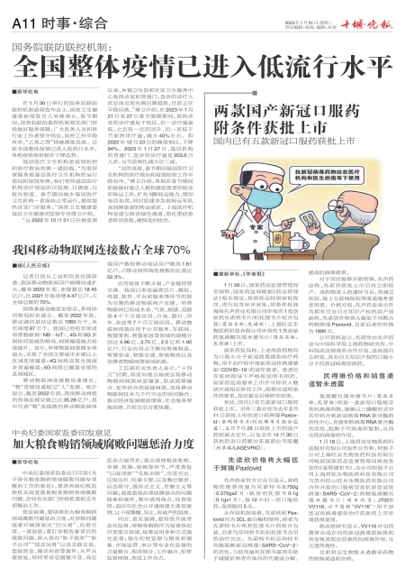 A11版导读