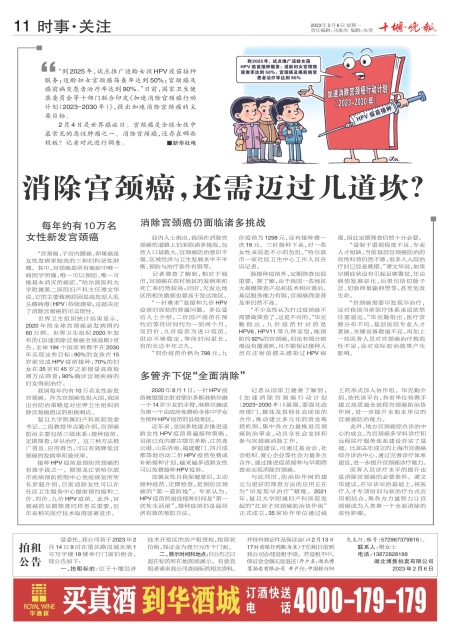 A11版导读