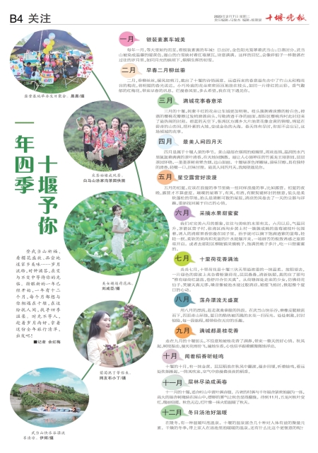 B04版导读