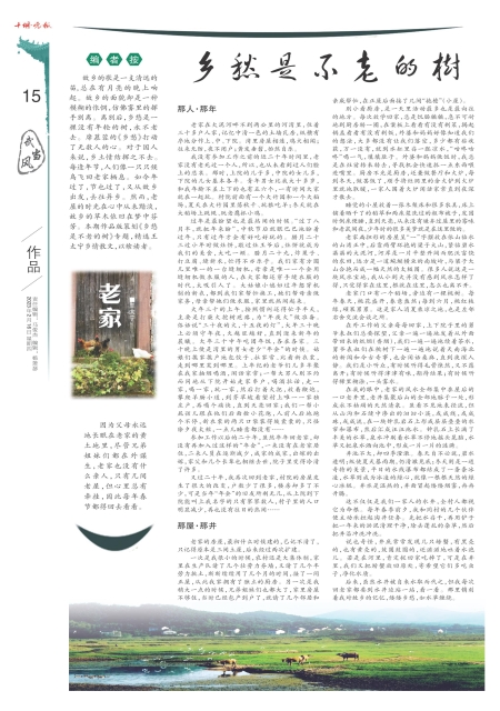 A15版导读