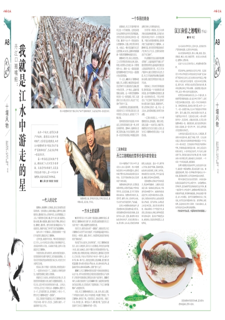 A09版导读