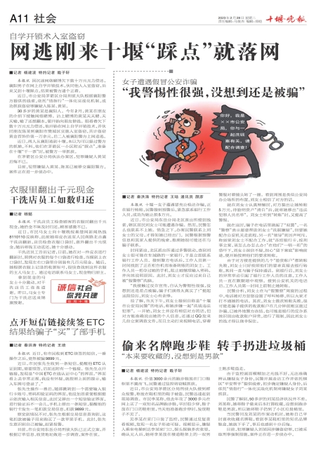 A11版导读