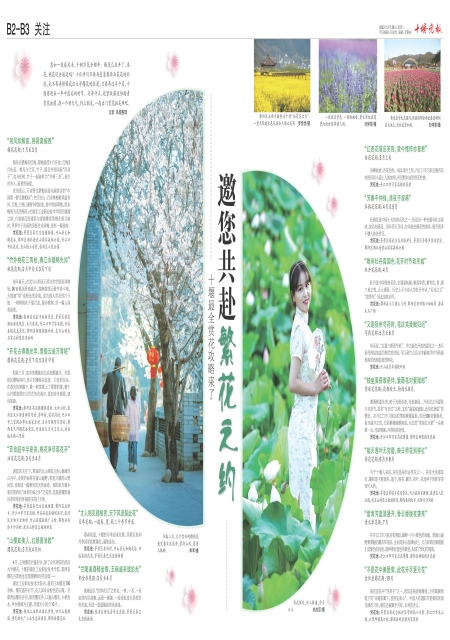 B02版导读