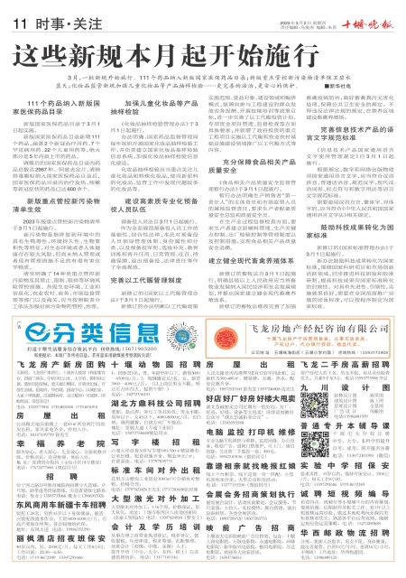 A11版导读