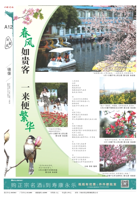 A12版导读
