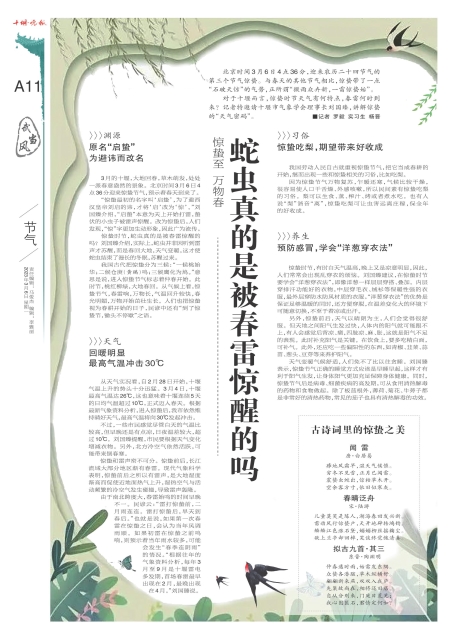 A11版导读
