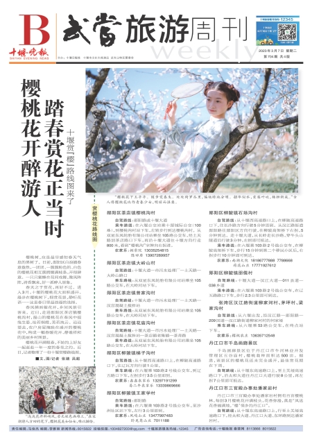 B01版导读