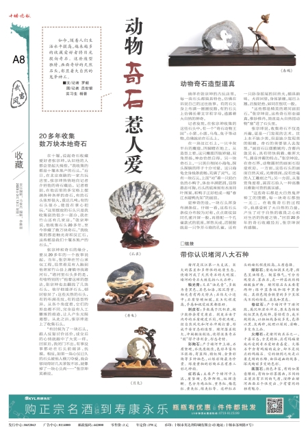 A08版导读