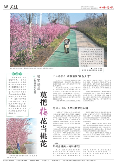 A08版导读