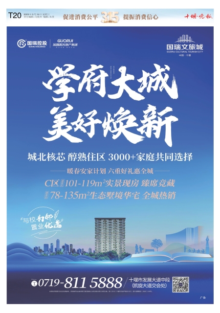 B20版导读