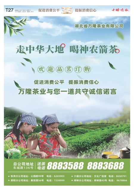 B27版导读