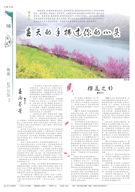 A16版导读