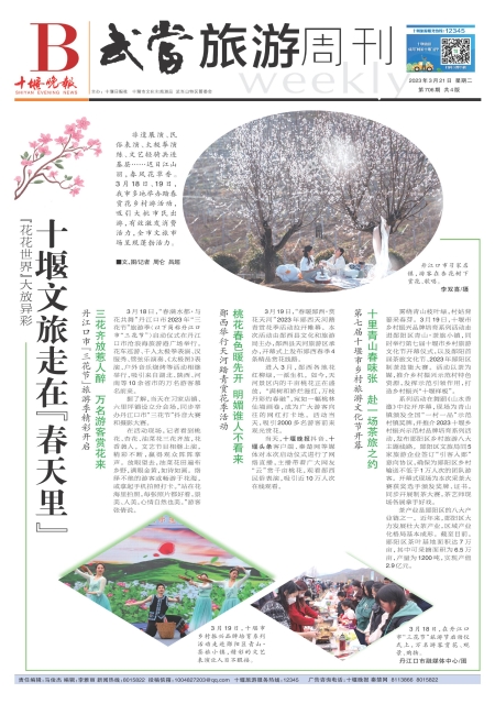 B01版导读