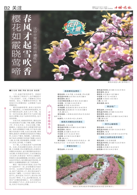 B02版导读