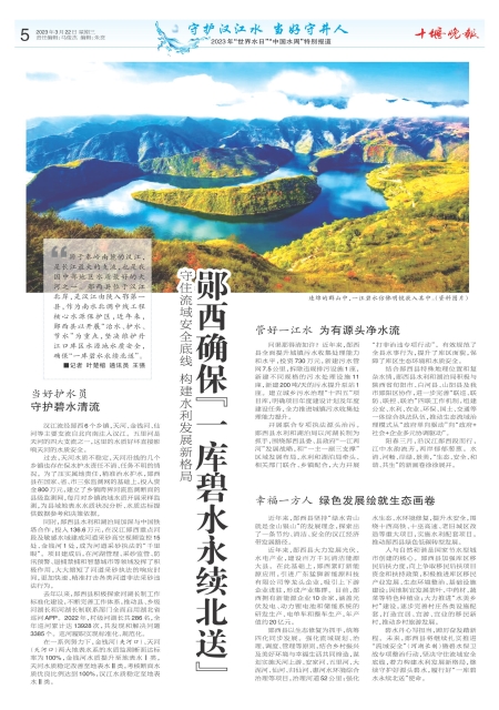 A05版导读